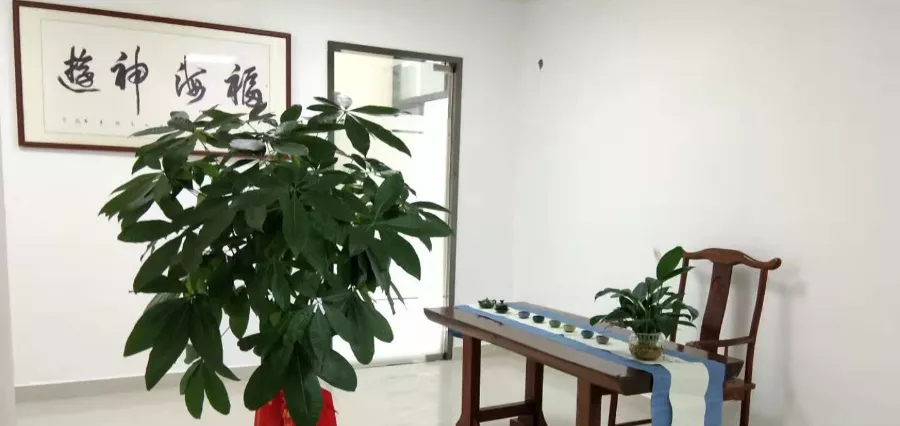 《因為有愛(ài)·所以重涂》系列故事第22期〡悅崢環(huán)保傾心打造高端辦公場(chǎng)所，臻享森林般舒適環(huán)境。
